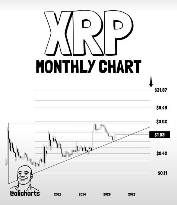The image displays a stylized "XRP Monthly Chart" featuring a long-term candlestick pattern with an ascending triangle formation, marking key technical levels at $3.66 breakout, $1.53 current price, and a projected target of $31.87, with an arrow pointing toward the target. It also includes the watermark "@alicharts" with a small portrait, visually reinforcing the accompanying bullish forecast of a major upside move if the monthly breakout confirms.