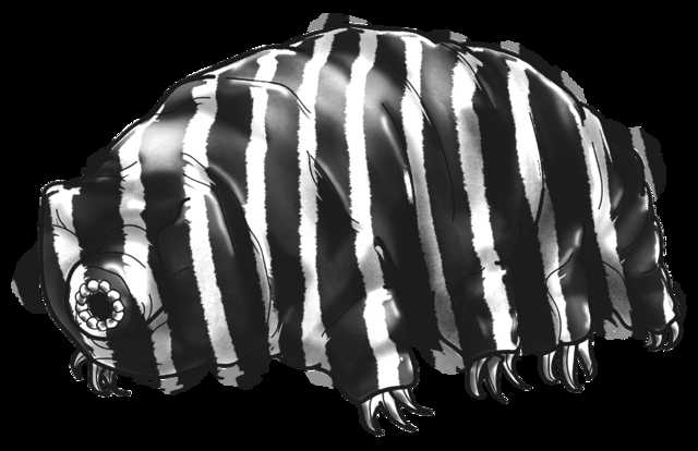A grayscale digital illustration of a tardigrade (also known as a "water bear" or "moss piglet") with a plump, segmented body and stubby legs ending in small claws, set against a black background. The image relates to the post because tardigrades are often referenced as a meme in crypto communities, including Zcash (ZEC) culture, where the creature's hardy, almost indestructible nature is humorously tied to the speculative and risky nature of memecoins.