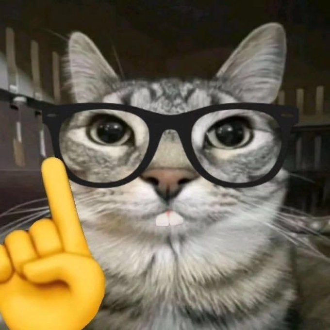 A humorous close-up of a tabby cat wearing black glasses, with an animated yellow finger emoji pointing upward.