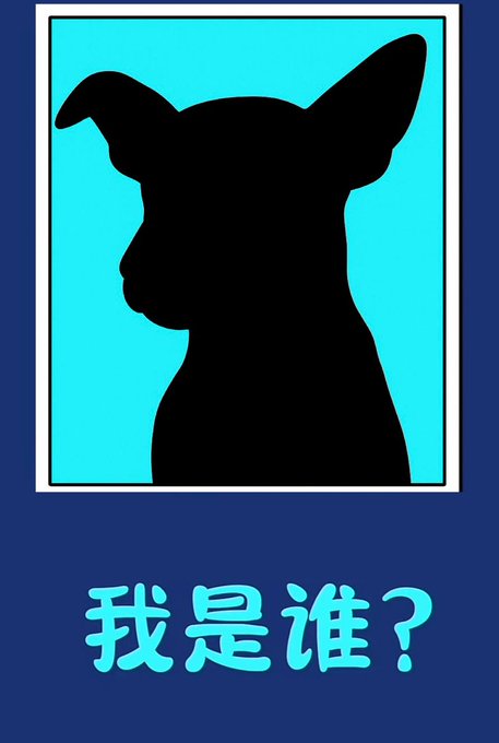 A graphic featuring a black silhouette of a dog's head and upper body against a bright cyan background, with the Chinese text '我是谁?' (Who am I?) displayed at the bottom on a dark blue border.