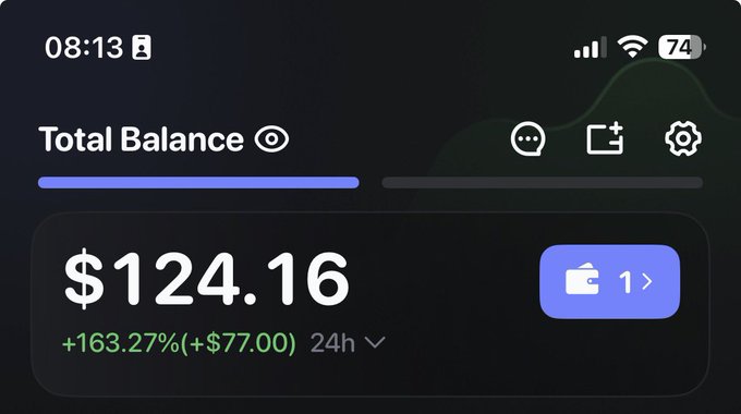 A mobile app dashboard displays a 'Total Balance' of $124.16, showing a 24-hour gain of +163.27% (+$77.00), with a phone battery at 74% at 08:13.