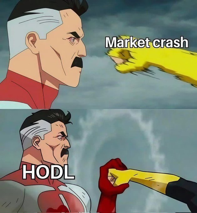 The image features a cartoon illustration of two men, one wearing a red shirt with "HODL" written on it, and another man wearing a yellow shirt with "MARKET CRASH" written on it. The two men are depicted in action, with one man holding up his fist while the other is holding out his hand.

The post includes text that reads: "HODL". Focus on what is in the image and how it relates to the post.