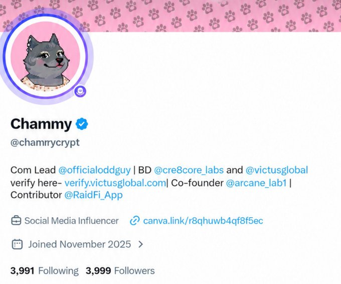 A social media profile for 'Chammy' (@chammyrcrypt), identified as a Social Media Influencer, Co-founder of @arcane_lab1, with Com Lead @officialoddguy and BD @cre8core_labs, joined November 2025, showing 3,991 Following and 3,999 Followers.