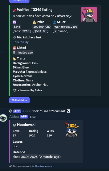 A Discord notification showing a Wolfies #3346 NFT listing on Ebisu's Bay marketplace for 10,000 CRO ($594.83) by seller hwangowski.cro, with traits including Pink background, Blue skin, and Archer Hat accessory.