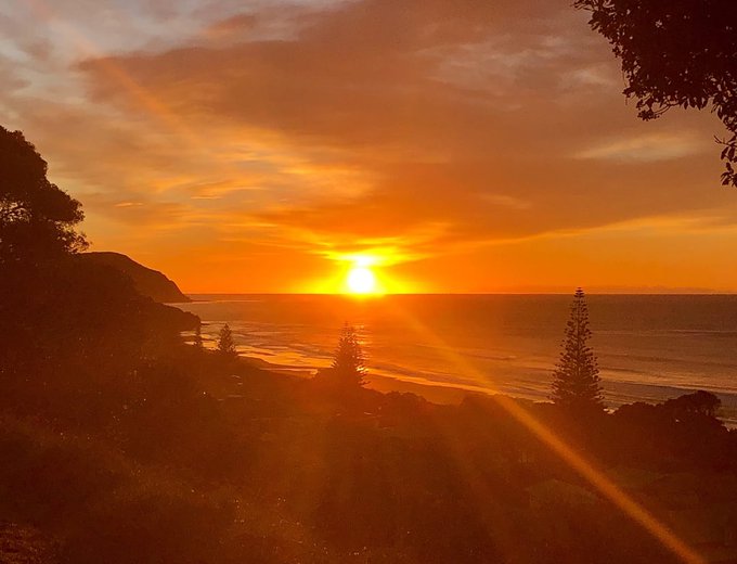 The image features a beautiful sunset over the ocean, with the sun setting behind some trees. The sky has hues of orange and yellow, creating a warm and inviting atmosphere. In the foreground, there are two pine trees standing tall on the hillside overlooking the beach. The scene is captured from an elevated position, providing a stunning view of the landscape below.