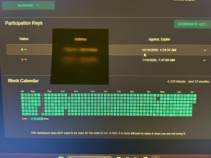A node management dashboard showing 'Participation Keys' with status indicators and expiration dates (10/19/2026 and 7/19/2026), plus a 'Block Calendar' displaying 4,128 blocks over the last 12 months.