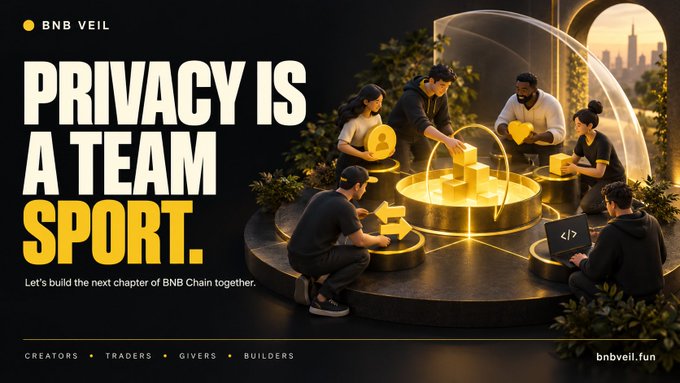 A promotional banner for BNB VEIL displays the text 'PRIVACY IS A TEAM SPORT' alongside an illustration of people working together on a blockchain-themed platform.