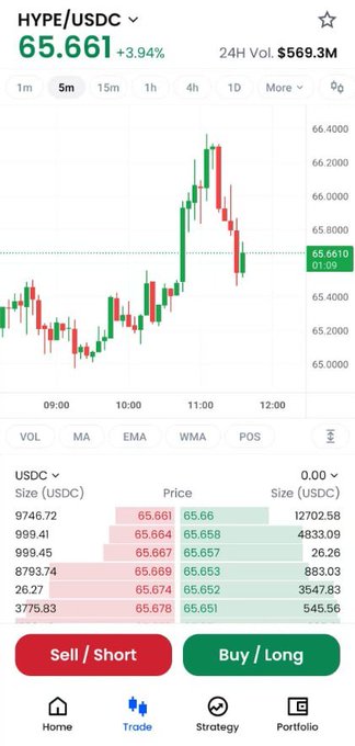 A mobile trading interface displays HYPE/USDC at $65.661, up 3.94%, with a 24-hour trading volume of $569.3M. The chart shows a sharp price spike to around $66.4 followed by a pullback, with an order book below showing buy/sell orders and red/green Sell/Short and Buy/Long buttons—illustrating the trader's point about using strategic entries rather than going all-in on the volatile HYPE options market.