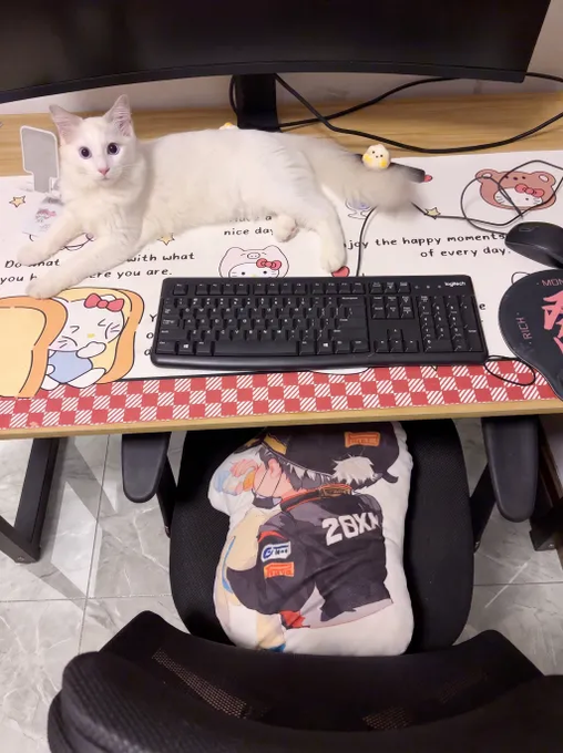 A white cat lies on a desk mat with cartoon characters and text, positioned behind a black keyboard and monitor, with a gaming chair below.