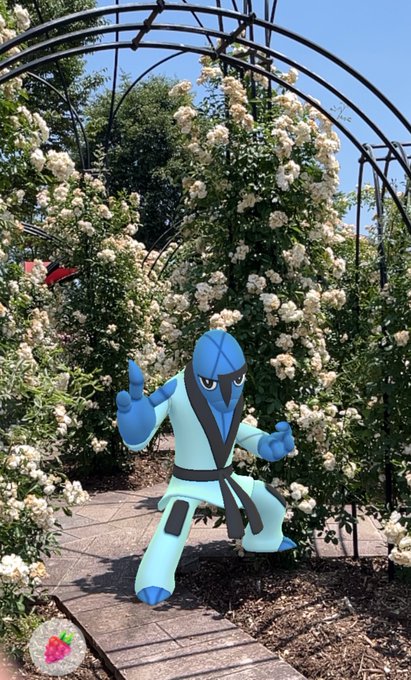 The image features a blue Pokemon character dressed as a karate master, standing in front of white flowers with trees behind him. The character appears to be posing for a photo or video, possibly taken by someone who knows about the Pokemon world. The post is titled "Gm bankr fam" and includes a small flower decoration at the bottom right corner of the image.