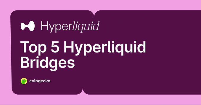 A purple and pink graphic displays the Hyperliquid logo and the text 'Top 5 Hyperliquid Bridges' with a coingecko logo in the corner.