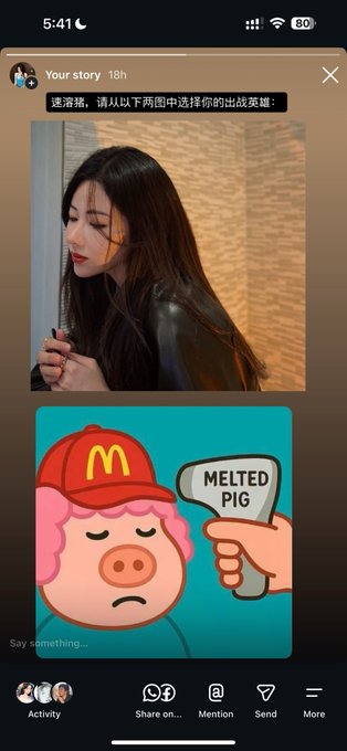A social media story screenshot from Instagram featuring a photo of a woman and a cartoon pig wearing a McDonald's hat with a sign reading 'MELTED PIG', accompanied by Chinese text translating to 'The choice is yours, please select your battle hero from the following two pictures'.
