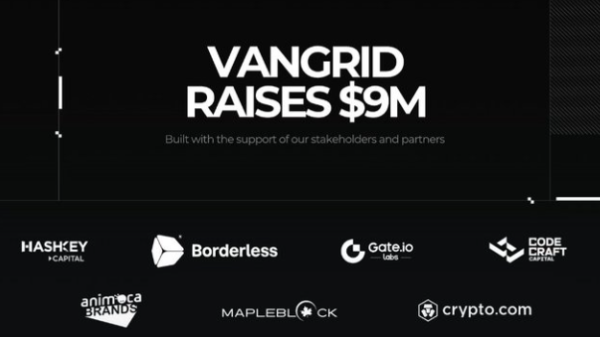 A black announcement graphic reading 'VANGRID RAISES $9M', featuring logos of backers including HashKey Capital, Borderless, Gate.io, Code Craft Capital, Animoca Brands, Mapleblock, and Crypto.com.