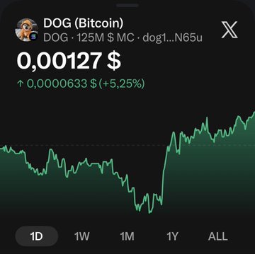 A cryptocurrency price chart for 'DOG (Bitcoin)' showing a current price of 0,00127 $ with a green line indicating a +5.25% gain.