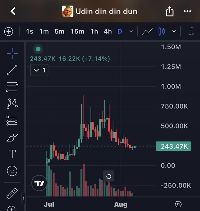 A TradingView chart titled "Udin din din dun" displays a daily candlestick pattern for a meme coin, showing a volatile price surge from ~$50K to ~$750K peak in July before declining back to $243.47K (+7.14%). The caption "pico bottom is in bros" aligns with the chart showing the current price stabilization at the lower support level following the steep decline from its July highs.