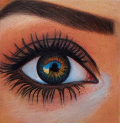 A detailed colored pencil or pastel drawing of a human eye with a striking blue-green iris, long dark lashes, and a thick eyebrow against warm orange-toned skin.