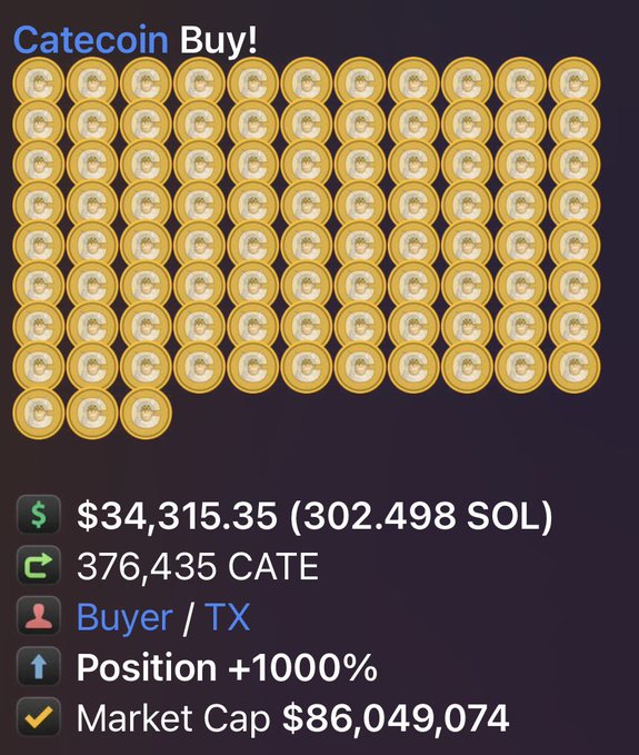 A 'Catecoin Buy!' transaction showing 376,435 CATE purchased for $34,315.35 (302.498 SOL) with a position of +1000% and a market cap of $86,049,074.