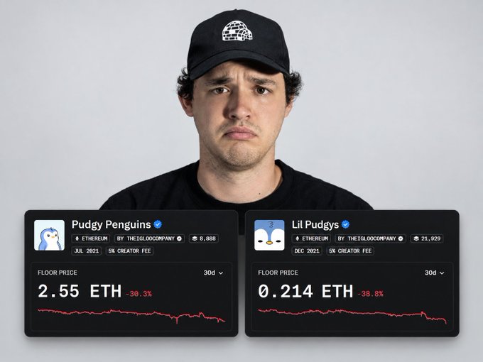 A disappointed-looking man wearing a black cap stands behind two NFT collection cards showing Pudgy Penguins and Lil Pudgys with declining floor prices of 2.55 ETH (-30.3%) and 0.214 ETH (-38.0%).
