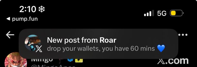 A smartphone notification from pump.fun shows "New post from Roar" with the message "drop your wallets, you have 60 mins" followed by a blue heart emoji.
