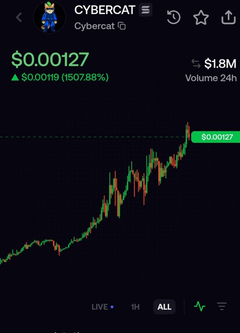 A cryptocurrency chart for $CYBERCAT shows a price of $0.00127 with a 1507.88% increase ($0.00119 gain) and $1.8M 24-hour volume, displaying a strong upward all-time trend. The chart visually reflects the poster's regret, showing the substantial price appreciation they missed by avoiding the "bundled" token.