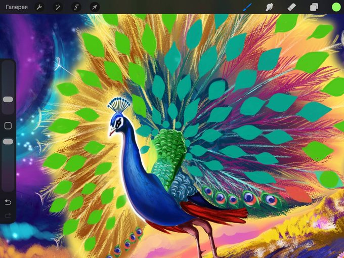 Digital artwork of a vibrant peacock with its tail feathers fanned out, displayed within the Procreate app interface (text 'Галерея' visible in Russian).