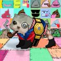 A pixel art raccoon wearing a jetpack stands triumphantly on a colorful alphabet play mat, with a "Low Quality Cats" (LQC) character visible in the top-left menu bar of the NFT collection's interface. The image ties to the post's message by showing a strong, visionary holder amid the cartoonish, meme-style collection, reinforcing the call to "redistribute" LQC tokens to committed community members rather than panic sellers.