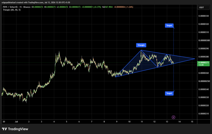 A TradingView chart of PEPE/USDT (TetherUS) on Binance showing a triangle pattern with targets at approximately 0.0000033 and 0.0000030, posted by @rigoo88.