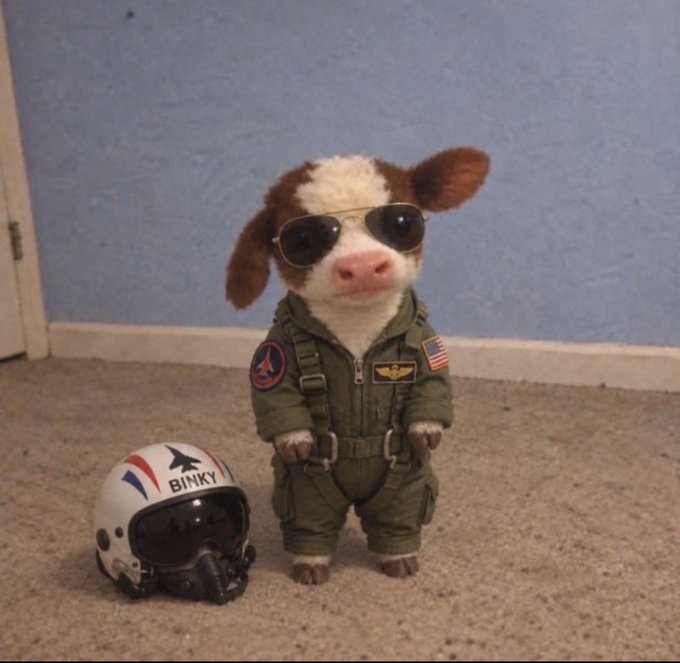 A stuffed cow toy dressed in a green pilot flight suit and aviator sunglasses, standing next to a white helmet labeled 'BINKY' with American flag decals.