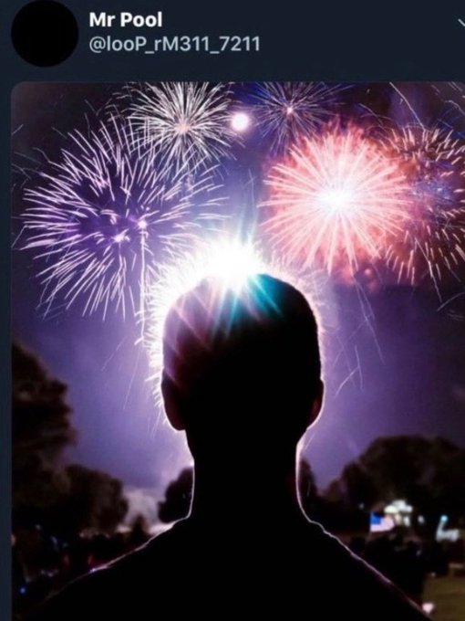 urn of purple and pink fireworks explode against a dark sky, with the person's head silhouetted in the foreground.