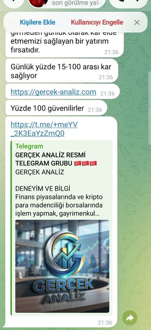 A WhatsApp chat screenshot shows messages directing users to "https://gercek-analiz.com" and a Telegram group called "GERÇEK ANALIZ RESMI TELEGRAM GRUBU" promising 15-100 kar daily, with text advertising "Finans piyasalarında ve kripto para madenciliği borsalarında işlem yapmak" — clearly the type of fraudulent profit scheme the post warns newcomers to avoid.