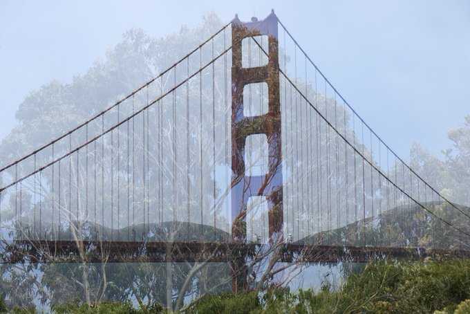 A double-exposure photograph blending the orange towers and suspension cables of the Golden Gate Bridge with lush green trees and foliage.