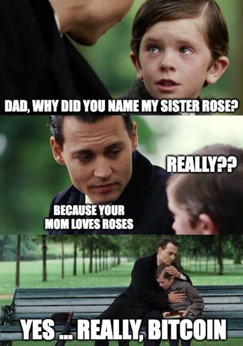 A three-panel meme using the 'Johnny Depp and daughter' template with text: 'DAD, WHY DID YOU NAME MY SISTER ROSE?' / 'REALLY??' / 'BECAUSE YOUR MOM LOVES ROSES' / 'YES... REALLY, BITCOIN'.
