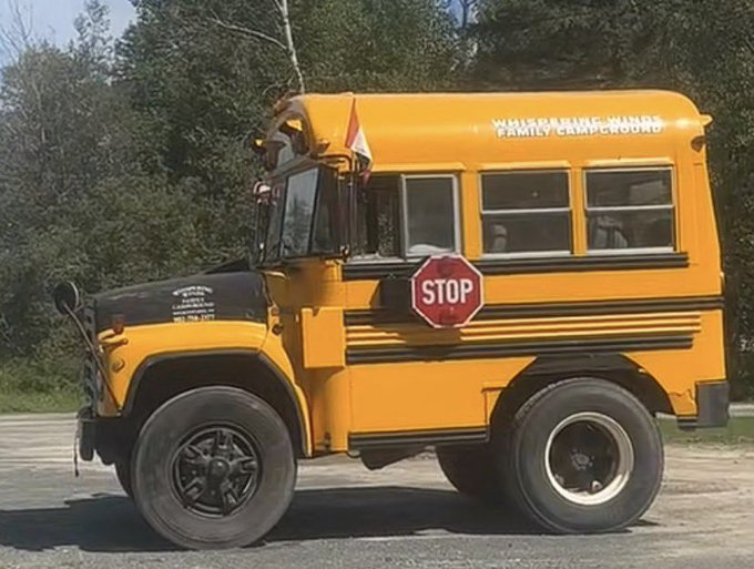 A converted vintage yellow school bus labeled 'WHITETAIL RUNS FAMILY CAMPGROUND' parked on pavement, with a stop sign mounted on its side.