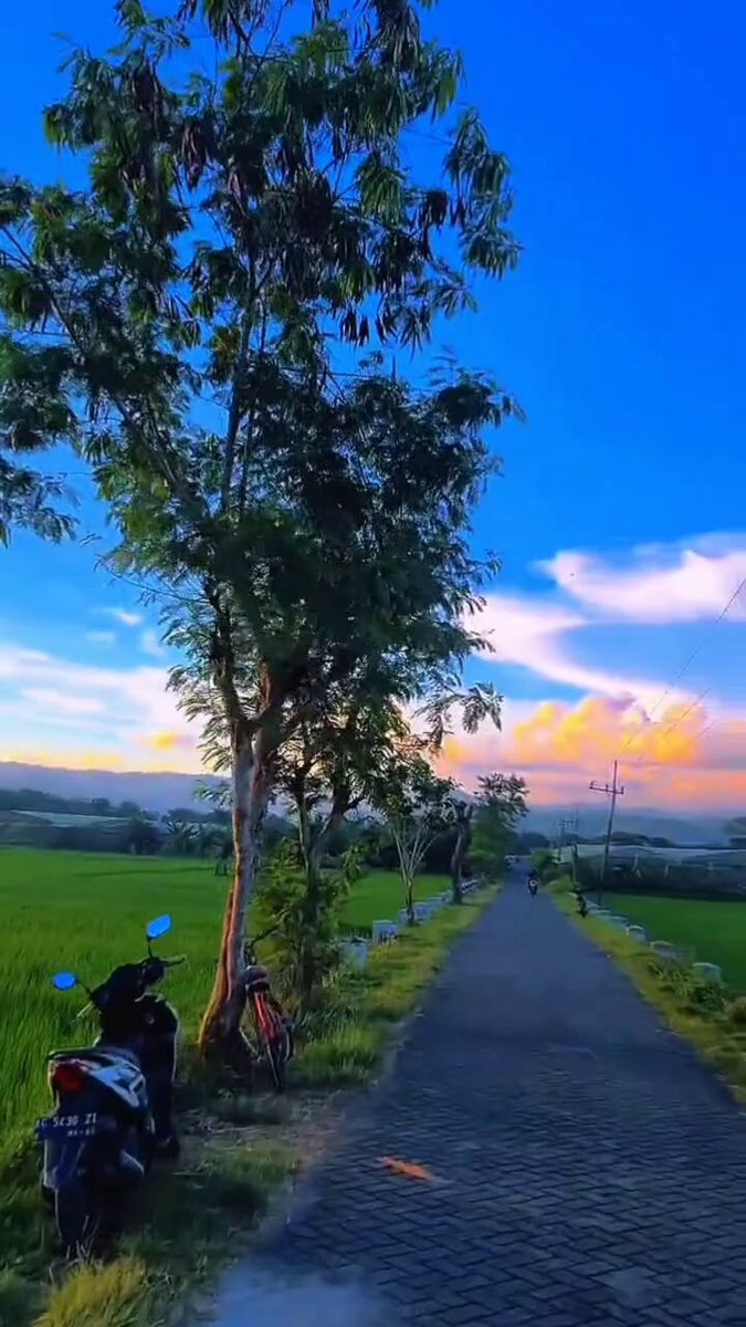 𝕏 fam Every time I open the timeline, I see something pretty interesting Here, there are people starting from zero, there are those who've come a very long way, but everyone is dedicating time to a goal better than yesterday Not every day brings."