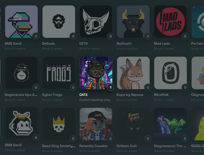 A digital wallet interface displays a collection of NFT collections including 'SMB Gen2', 'DeGods', 'CETS', 'Bulltoshi', 'Mad Lads', 'Portals', 'Degenerate Ape A...', 'Cyber Frogs', 'CATE' (marked Custom backing only), 'Kups by Raposa', 'Mindfolk', 'Claynos', 'SMB Gen3', 'Dead King Society', 'Retardio Cousins', 'Critters Cult', and 'Claynosaurz: The...'.