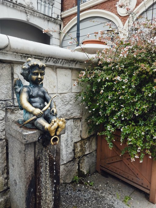 A bronze statue of a cherub holding a bow sits on a stone fountain, with water trickling from its foot, next to a lush bush of white flowers and a wooden gate.