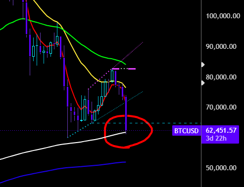 The image shows a chart of Bitcoin price trends over time, with a blue line indicating rising prices against a black background. The title "BTC weekly hits" suggests that this period has been particularly favorable for Bitcoin trading. However, there are also downward sloping lines and peaks on different periods within the same week. This information is relevant to the post because it presents an analysis of Bitcoin price trends in relation to a specific time frame.