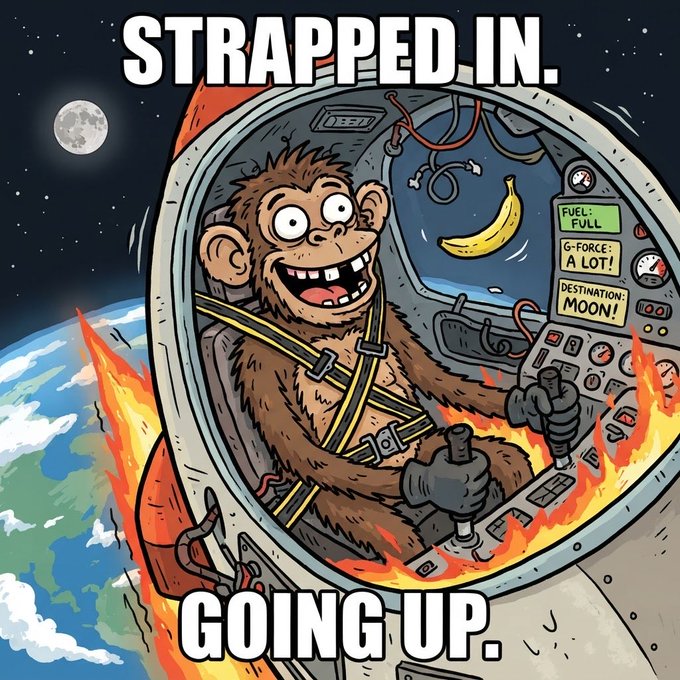 A cartoon meme showing a chimpanzee strapped into a rocket cockpit amid flames with Earth below, with the text 'STRAPPED IN. GOING UP.' and dashboard readings showing 'FUEL: FULL', 'G-FORCE: A LOT!', and 'DESTINATION: MOON!'.