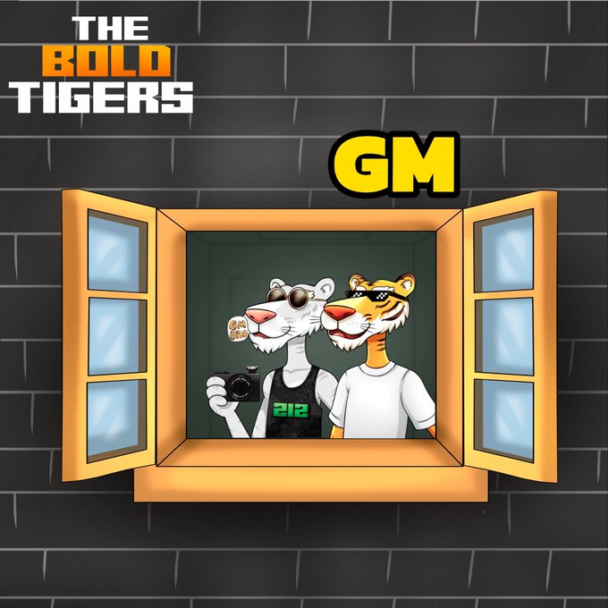 A cartoon illustration for 'The Bold Tigers' shows two tiger characters in a window with the label 'GM' above them.