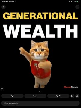 A mobile screen recording of a tweet featuring an orange cat wearing a red outfit with its back turned, set against a black background with the bold text 'GENERATIONAL WEALTH'.