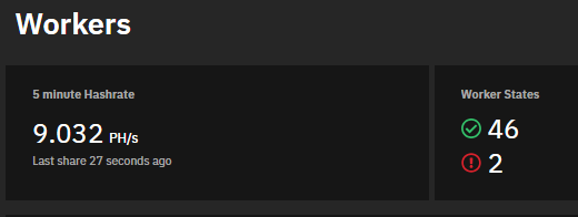 A dark dashboard titled 'Workers' displaying a 5-minute Hashrate of 9.032 PH/s and Worker States showing 46 active workers (green check) and 2 inactive (red exclamation).