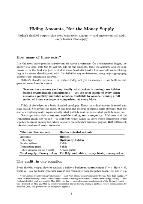 A document titled 'Hiding Amounts, Not the Money Supply' explaining how Hathor shielded outputs hide transaction amounts while keeping the total supply auditable.