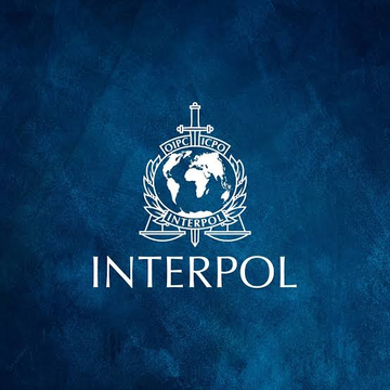 The image shows the INTERPOL logo on a dark blue textured background, featuring the organization's globe emblem with a sword and laurel wreath. The logo visually reinforces the breaking news about Interpol's arrest of Richard Heart, the founder of HEX and PulseChain cryptocurrencies.