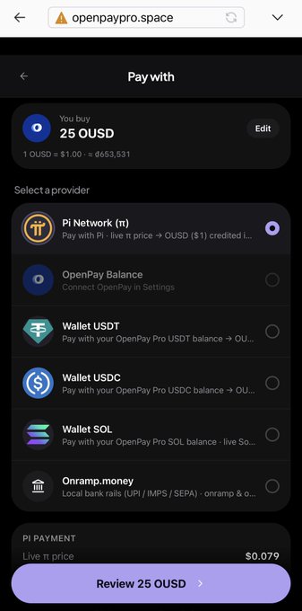 The image shows the "Pay with" screen on openpaypro.space, where a user is buying 25 OUSD with multiple payment provider options available, including Pi Network (currently selected), OpenPay Balance, and various crypto wallets (USDT, USDC, SOL), as well as Onramp.money. The post about "GLOBAL PIONEERS GET IT pi-network:native" aligns with the screen by highlighting Pi Network as a native payment option for global transactions on this platform.