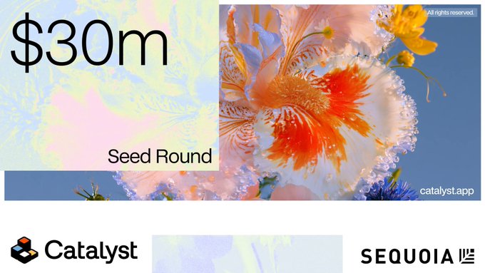 The image announces a $30 million seed round for Catalyst, featuring their logo alongside Sequoia's, with an artistic floral background and the branding "catalyst.app," highlighting the startup's significant funding backed by notable investors like Sequoia Capital.