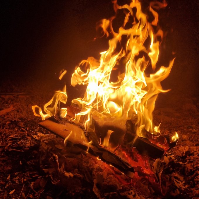 A glowing campfire burns brightly among dry leaves and wooden logs in the darkness, with vibrant orange and yellow flames flickering upward.

The image's warm, hopeful firelight complements the post's optimistic evening message, symbolizing anticipation and the steady hope of waiting through the night for tomorrow's awaited moment.