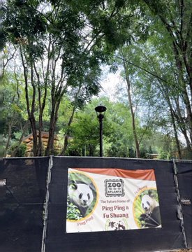 A banner at what appears to be a zoo enclosure reads "The Hometown Voices of Ping Ping & Fu Shuang" alongside the 2024 logo and panda imagery, promoting the panda duo's narrative. The accompanying post's playful claim that "Ping Ping & Fu Shuang about to break out (not from the zoo)" is reinforced by the image showing the actual zoo signage for the beloved pair, tying the meme's crypto ticker $熊猫 ("panda" in Chinese) to the viral pandas currently captivating public attention.