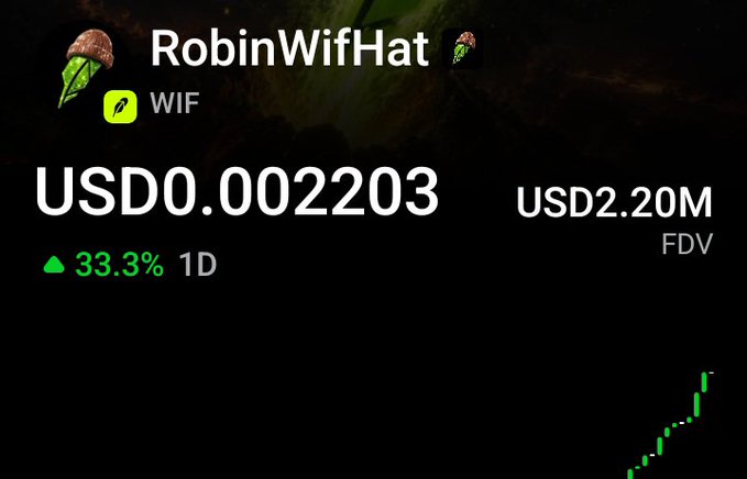 The image shows a crypto price tracking screen for the token **RobinWifHat ($WIF)**, displaying a price of **USD 0.002203**, a 24-hour gain of **33.3%**, and a fully diluted valuation of **USD 2.20M**. The accompanying post celebrates a 4x gain on $WIF, with the image visually reinforcing the trader's point about profiting from conviction plays rather than chasing hype-driven rugs.