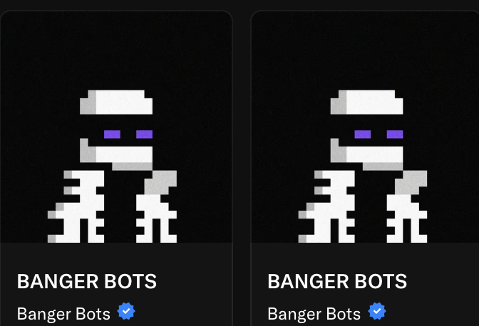Two identical pixel-art skeleton profile pictures labeled 'BANGER BOTS' with verified checkmarks displayed side by side.