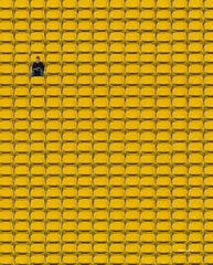 A minimalist composition showing a small dark insect positioned on the bright yellow strands of a tennis racket's grid pattern.